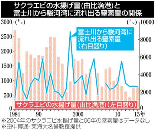 母なる富士川 ４ 不漁の相関性持論 窒素量増減 水揚げ変動 あなたの静岡新聞